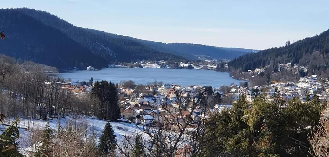 Le Petit Vosgien Apartment Gérardmer Екстериор снимка